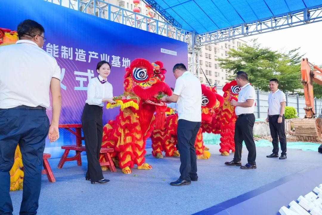 dcbox小金库集团