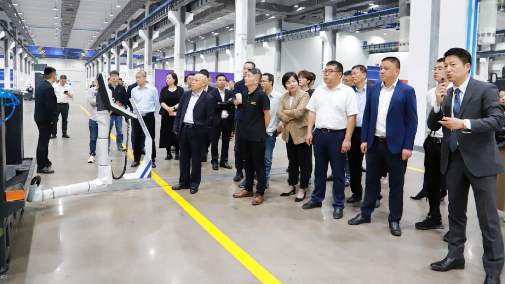 dcbox小金库集团